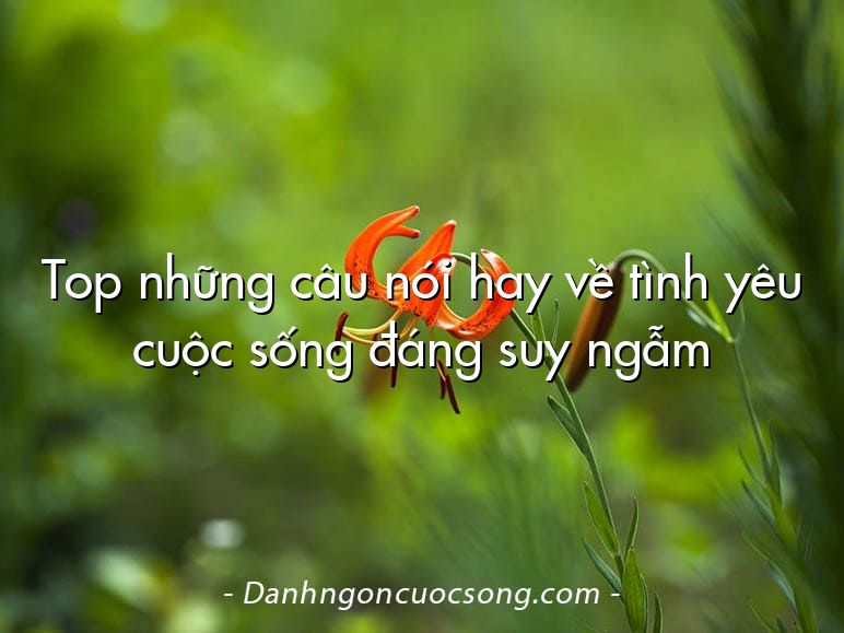 Top những câu nói hay về tình yêu cuộc sống đáng suy ngẫm