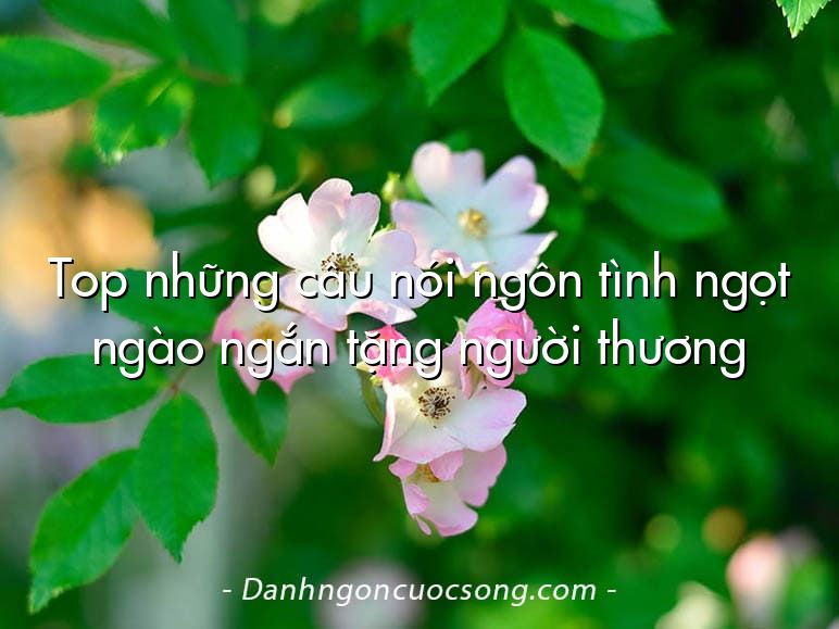 Top những câu nói ngôn tình ngọt ngào ngắn tặng người thương