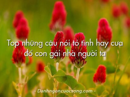 Top những câu nói tỏ tình hay cưa đổ con gái nhà người ta