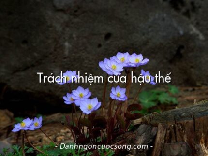 Trách nhiệm của hậu thế