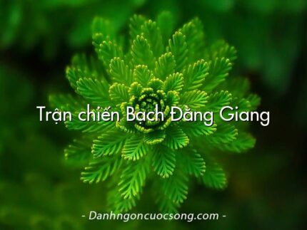 Trận chiến Bạch Đằng Giang