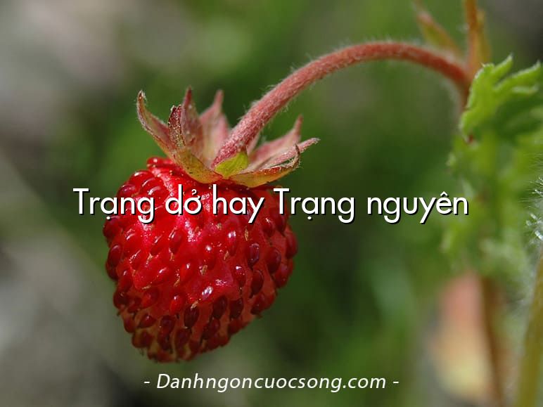 Trạng dở hay Trạng nguyên