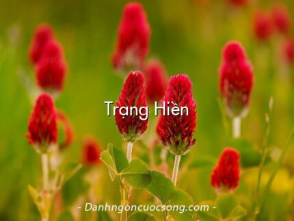 Trạng Hiền