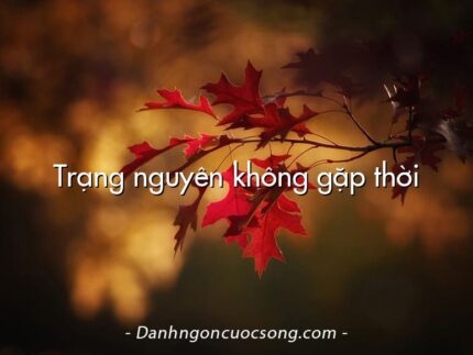 Trạng nguyên không gặp thời