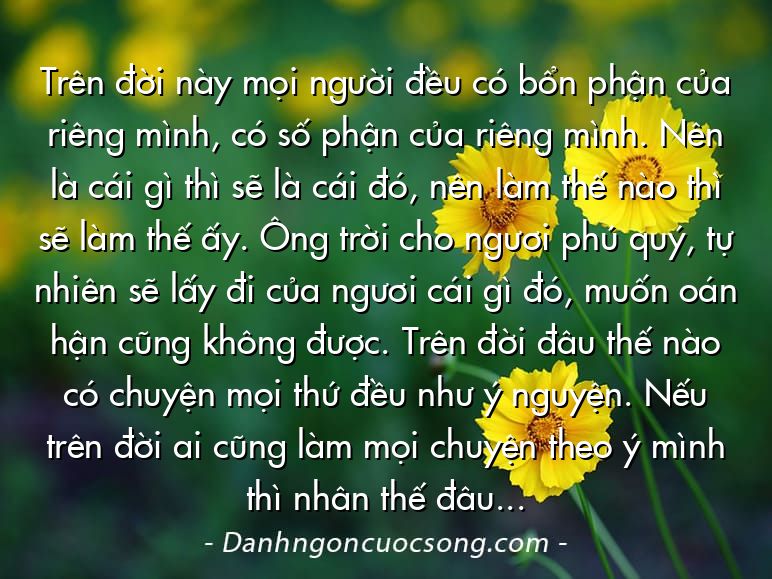 Trên đời này mọi người đều có bổn phận của riêng mình, có số phận của riêng mình. Nên là cái gì thì sẽ là cái đó, nên làm thế nào thì sẽ làm thế ấy. Ông trời cho ngươi phú quý, tự nhiên sẽ lấy đi của ngươi cái gì đó, muốn oán hận cũng không được. Trên đời đâu thế nào có chuyện mọi thứ đều như ý nguyện. Nếu trên đời ai cũng làm mọi chuyện theo ý mình thì nhân thế đâu còn là nhân thế, mọi thứ sẽ loạn cả lên.