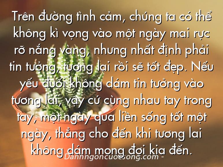 Trên đường tình cảm, chúng ta có thể không kì vọng vào một ngày mai rực rỡ nắng vàng, nhưng nhất định phải tin tưởng, tương lai rồi sẽ tốt đẹp. Nếu yếu đuối không dám tin tưởng vào tương lai, vậy cứ cùng nhau tay trong tay, một ngày qua liền sống tốt một ngày, thẳng cho đến khi tương lai không dám mong đợi kia đến.