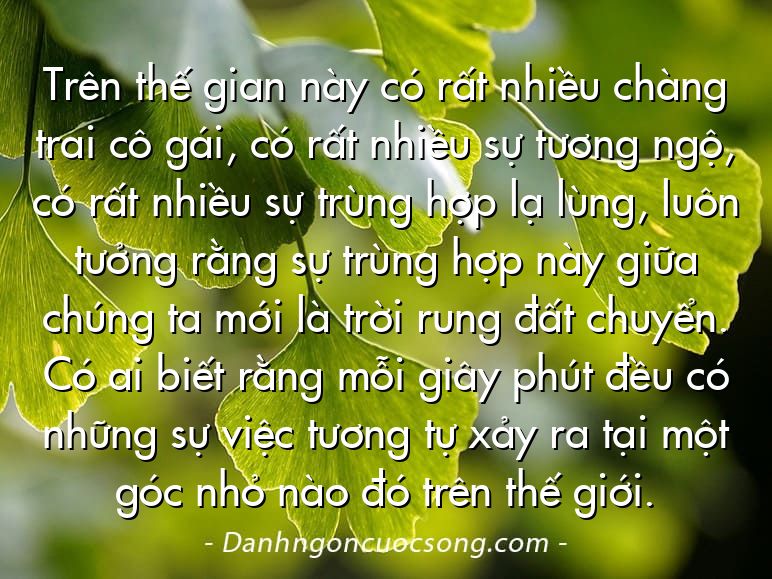 Trên thế gian này có rất nhiều chàng trai cô gái, có rất nhiều sự tương ngộ, có rất nhiều sự trùng hợp lạ lùng, luôn tưởng rằng sự trùng hợp này giữa chúng ta mới là trời rung đất chuyển. Có ai biết rằng mỗi giây phút đều có những sự việc tương tự xảy ra tại một góc nhỏ nào đó trên thế giới.