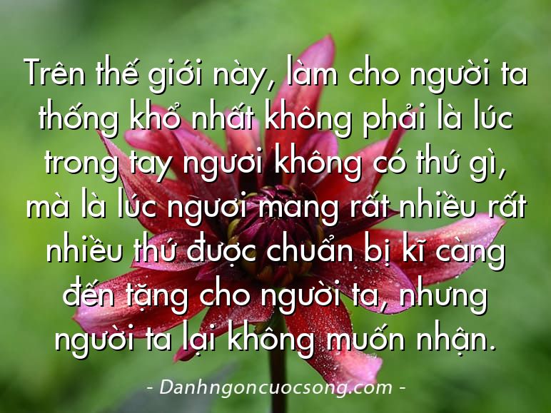 Trên thế giới này, làm cho người ta thống khổ nhất không phải là lúc trong tay ngươi không có thứ gì, mà là lúc ngươi mang rất nhiều rất nhiều thứ được chuẩn bị kĩ càng đến tặng cho người ta, nhưng người ta lại không muốn nhận.
