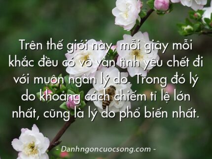 Trên thế giới này, mỗi giây mỗi khắc đều có vô vàn tình yêu chết đi với muôn ngàn lý do. Trong đó lý do khoảng cách chiếm tỉ lệ lớn nhất, cũng là lý do phổ biến nhất.