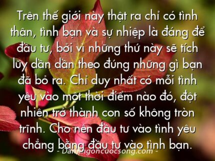 Trên thế giới này thật ra chỉ có tình thân, tình bạn và sự nhiệp là đáng để đầu tư, bởi vì những thứ này sẽ tích lũy dần dần theo đúng những gì bạn đã bỏ ra. Chỉ duy nhất có mỗi tình yêu vào một thời điểm nào đó, đột nhiên trở thành con số không tròn trĩnh. Cho nên đầu tư vào tình yêu chẳng bằng đầu tư vào tình bạn.
