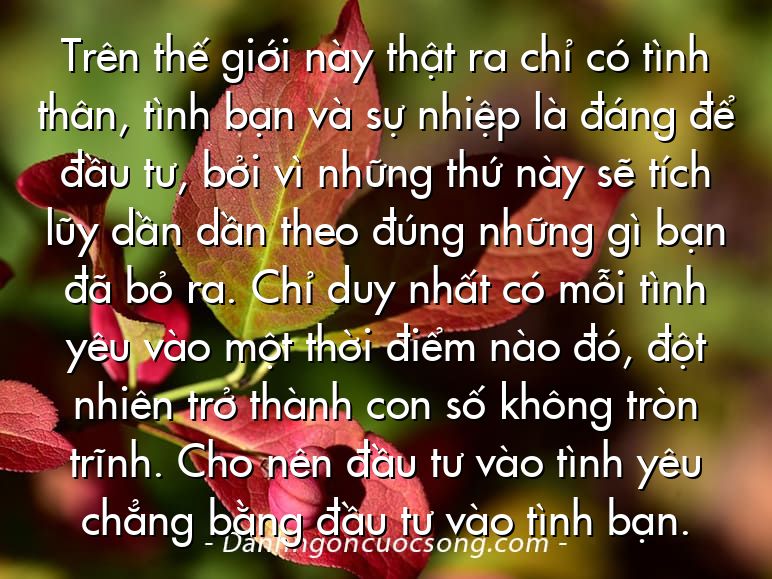 Trên thế giới này thật ra chỉ có tình thân, tình bạn và sự nhiệp là đáng để đầu tư, bởi vì những thứ này sẽ tích lũy dần dần theo đúng những gì bạn đã bỏ ra. Chỉ duy nhất có mỗi tình yêu vào một thời điểm nào đó, đột nhiên trở thành con số không tròn trĩnh. Cho nên đầu tư vào tình yêu chẳng bằng đầu tư vào tình bạn.