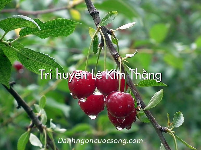 Tri huyện Lê Kim Thằng
