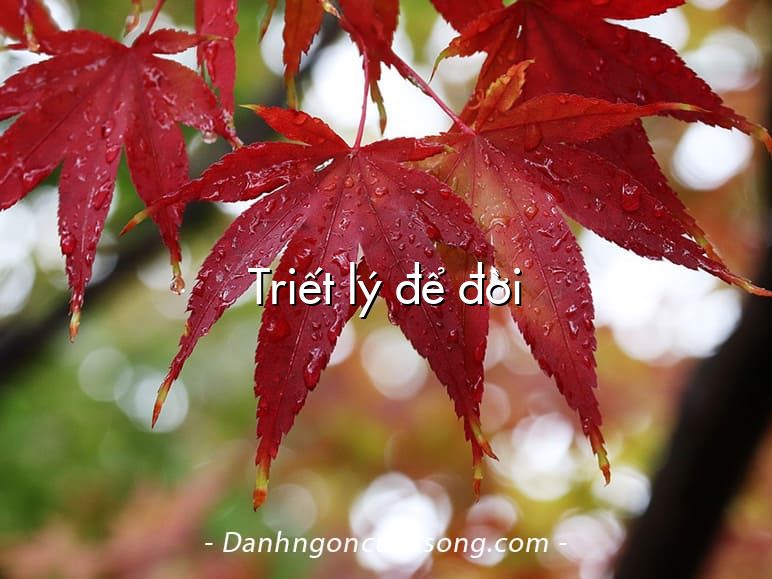 Triết lý để đời