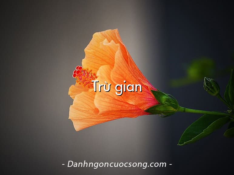 Trừ gian