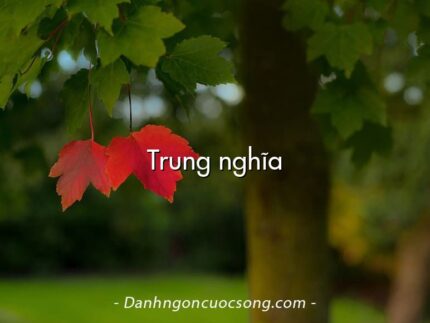 Trung nghĩa