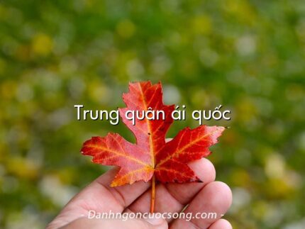 Trung quân ái quốc