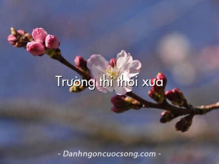 Trường thi thời xưa