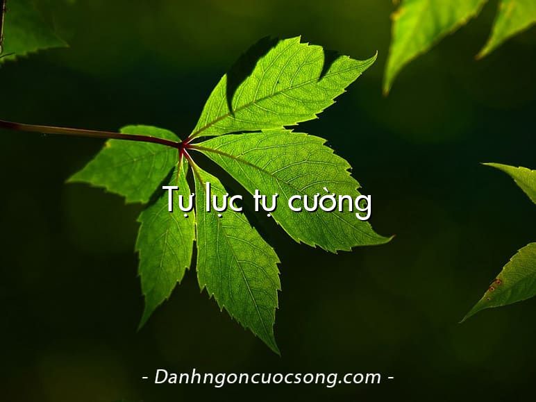 Tự lực tự cường