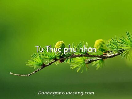 Từ Thục phu nhân