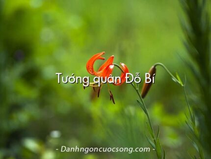 Tướng quân Đỗ Bí