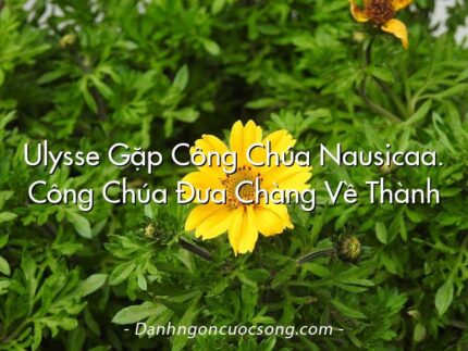 Ulysse Gặp Công Chúa Nausicaa. Công Chúa Đưa Chàng Về Thành