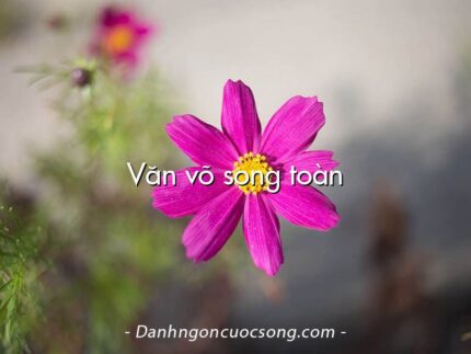 Văn võ song toàn