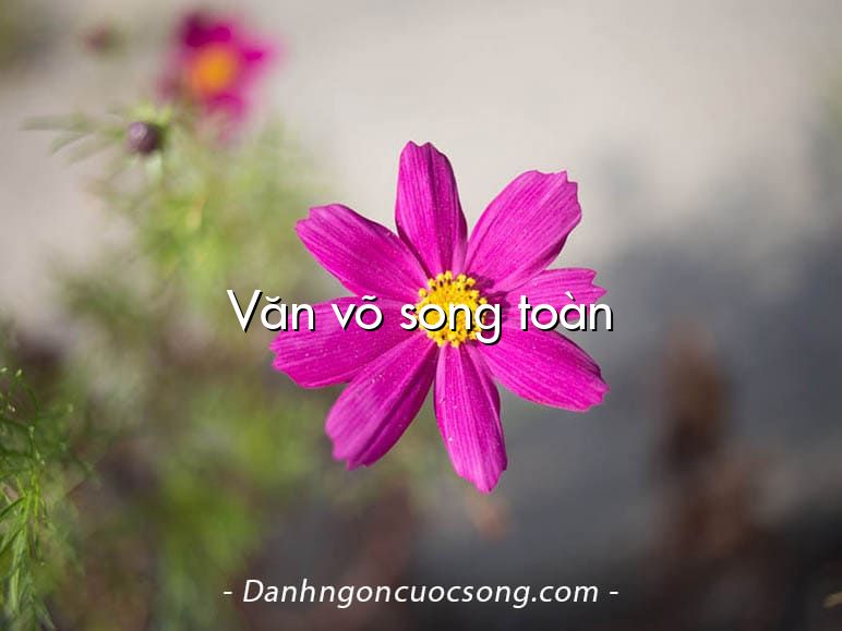 Văn võ song toàn
