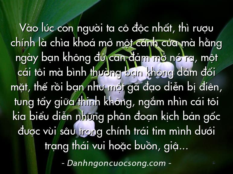 Vào lúc con người ta cô độc nhất, thì rượu chính là chìa khoá mở một cánh cửa mà hằng ngày bạn không đủ can đảm mở nó ra, một cái tôi mà bình thường bạn không dám đối mặt, thế rồi bạn như một gã đạo diễn bị điên, tung tẩy giữa thinh không, ngắm nhìn cái tôi kia biểu diễn những phân đoạn kịch bản gốc được vùi sâu trong chính trái tim mình dưới trạng thái vui hoặc buồn, giận giữ hay nạt nộ, có thể là bi mà cũng có thể là hài.