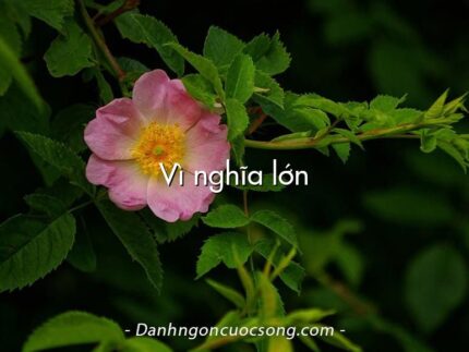Vì nghĩa lớn