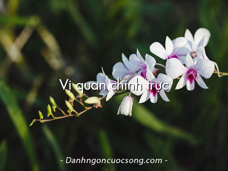 Vị quan chính trực