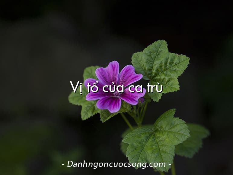 Vị tổ của ca trù