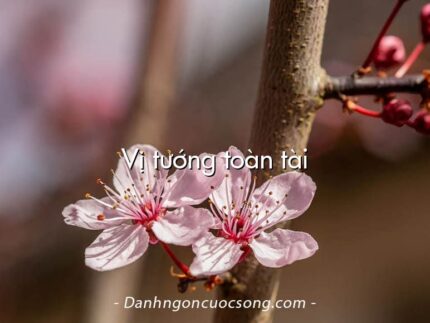 Vị tướng toàn tài