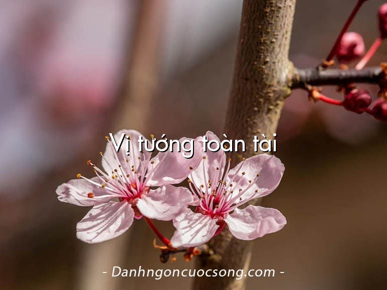 Vị tướng toàn tài