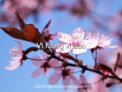 Vị tướng vì dân