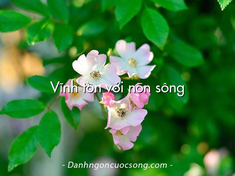 Vĩnh tồn với non sông