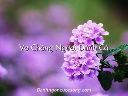 Vợ Chồng Người Đánh Cá