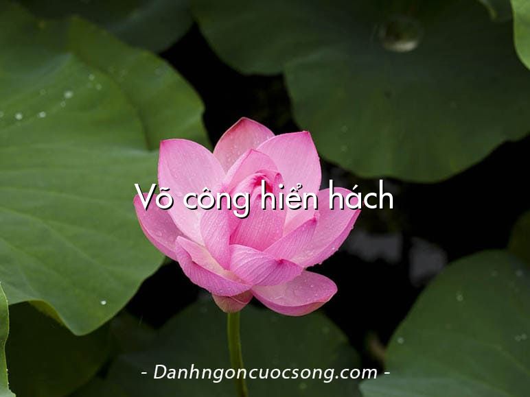 Võ công hiển hách
