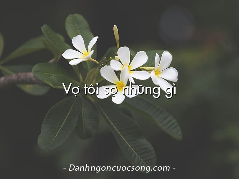 Vợ tôi sợ những gì