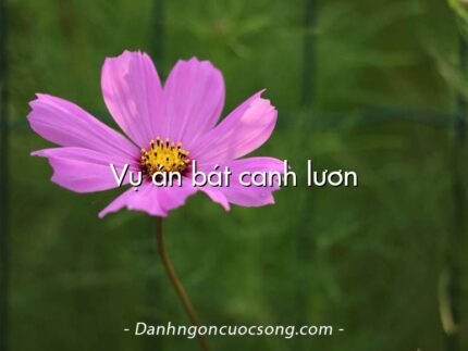 Vụ án bát canh lươn