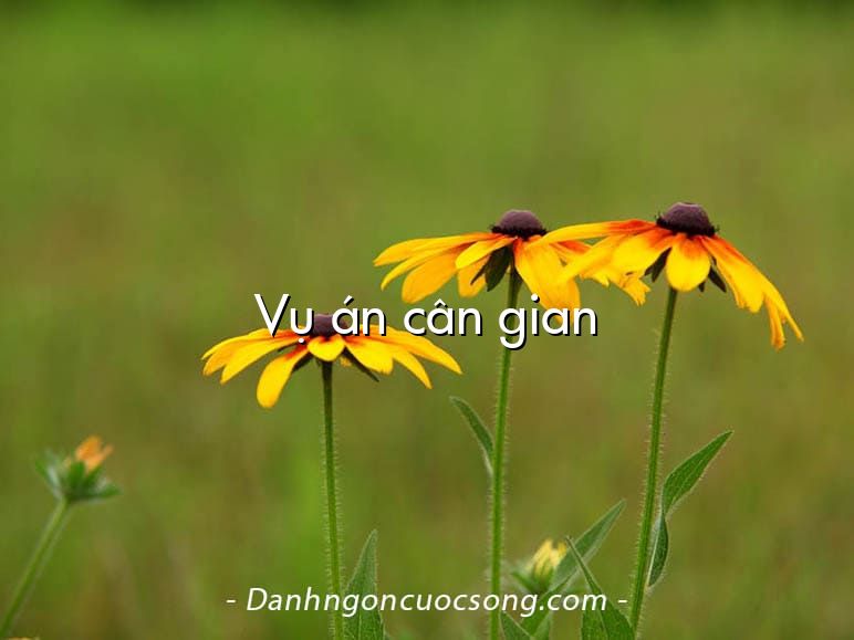 Vụ án cân gian