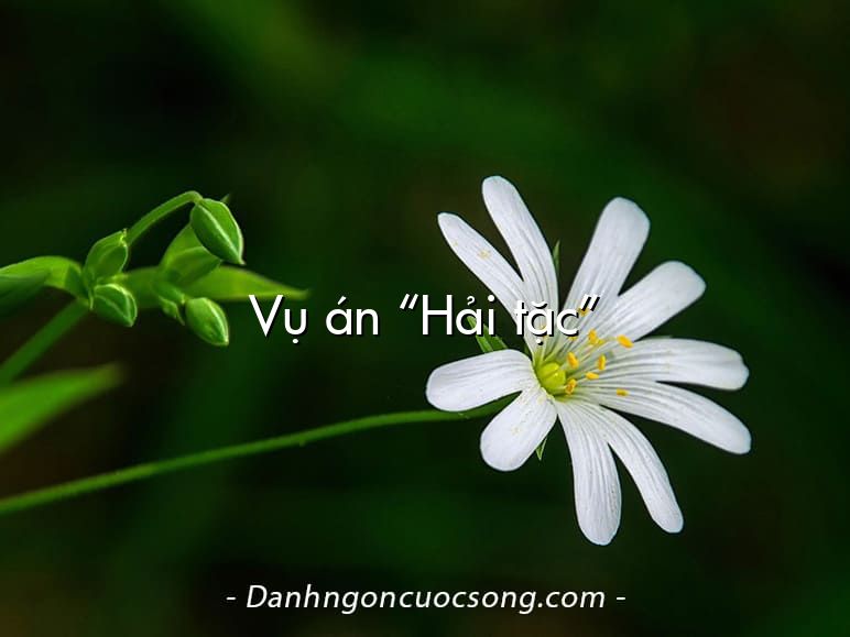 Vụ án “Hải tặc”