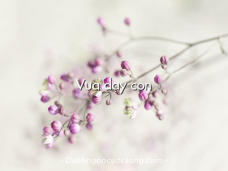 Vua dạy con