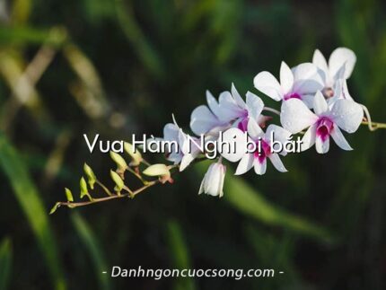 Vua Hàm Nghi bị bắt