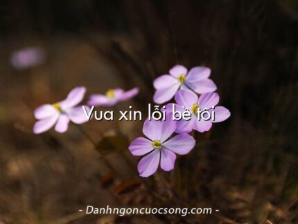 Vua xin lỗi bề tôi