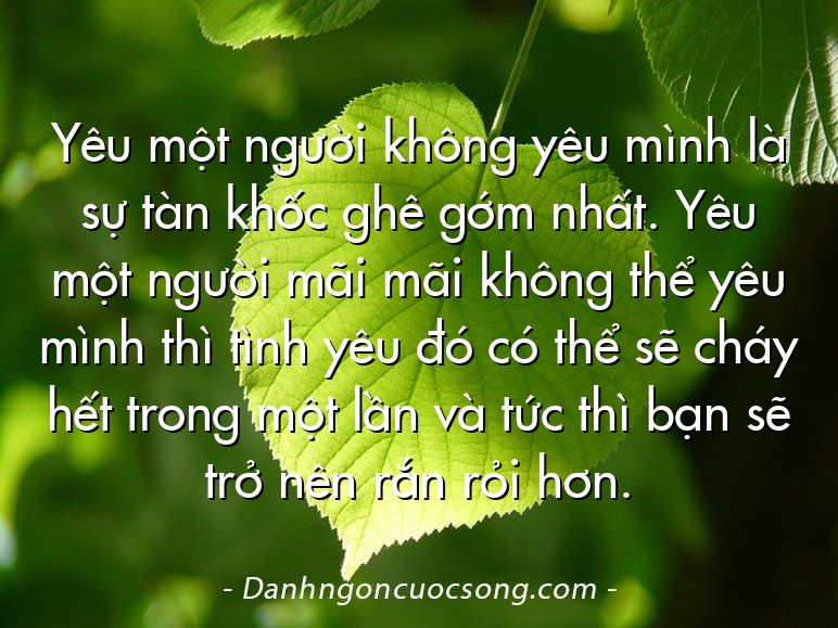 Yêu một người không yêu mình là sự tàn khốc ghê gớm nhất. Yêu một người mãi mãi không thể yêu mình thì tình yêu đó có thể sẽ cháy hết trong một lần và tức thì bạn sẽ trở nên rắn rỏi hơn.
